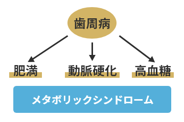 歯の寿命をできるかぎり延ばす虫歯治療