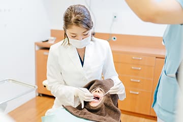 精密虫歯治療